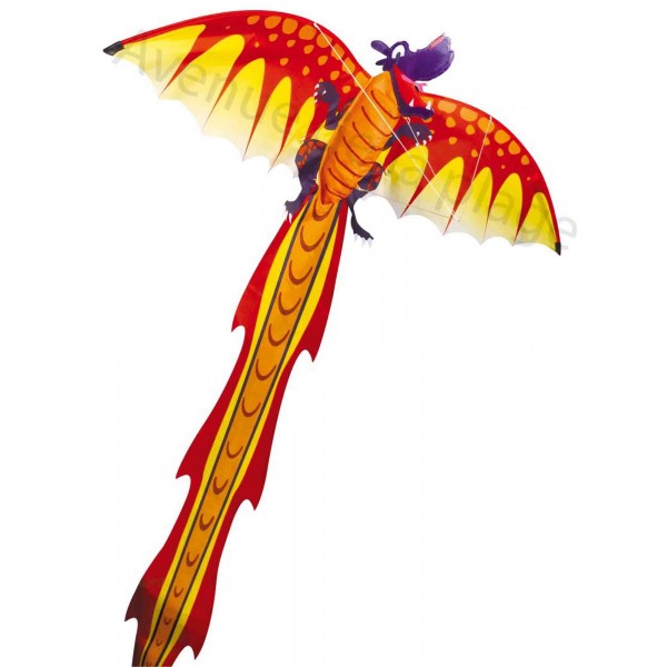 Cerfvolant pour enfant Dragon 3DCerf volant original pas cher