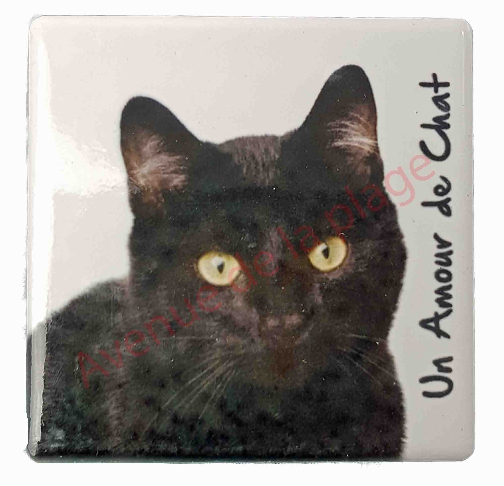 Magnet Chat Noir Pas Cher Aimant Pour Frigo Chat